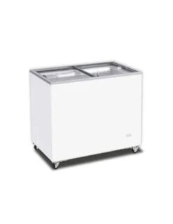 Conservatore Orizzontale A Pozzetto 190L Con Scorrevoli In Vetro